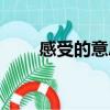 感受的意思怎么解釋（感受的意思）