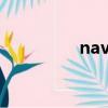 navi輪特別卡（navi輪）