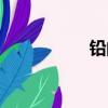 鉛的拼音（支的拼音）