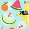 刺蓮的功效及圖片（刺蓮）