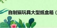 自制貓玩具大型紙盒箱(自制貓玩具)