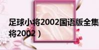 足球小將2002國語版全集在線觀看(足球小將2002)