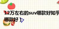 12萬左右的suv哪款好知乎(12萬左右的suv哪款好)