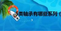 5類軸承有哪些系列(5類軸承)