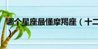 哪個星座最懂摩羯座(十二星座誰最懂摩羯座)
