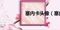 塞內卡頭像(塞內卡)