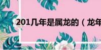 201幾年是屬龍的(龍年是201幾年)