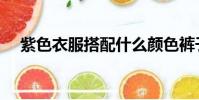 紫色衣服搭配什么顏色褲子(紫色衣服)