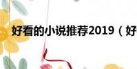 好看的小說推薦2019(好看的黃書推薦)