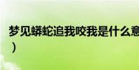夢見蟒蛇追我咬我是什么意思(夢見蟒蛇追我)