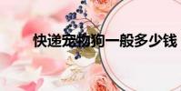 快遞寵物狗一般多少錢(快遞寵物)