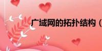 廣域網的拓撲結構(廣域網)