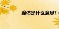 腺體是什么意思?(腺體)