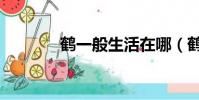 鶴一般生活在哪(鶴生長在)