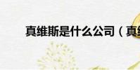 真維斯是什么公司(真維斯是什么)