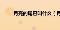 月亮的尾巴叫什么(月亮的尾巴)