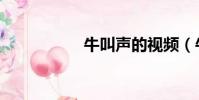 牛叫聲的視頻(牛叫)