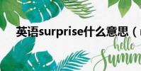 英語surprise什么意思(rise什么意思)