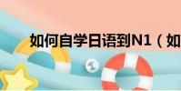 如何自學日語到N1(如何自學日語)