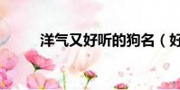 洋氣又好聽的狗名(好聽的狗名)