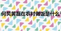 何炅黃磊在農村做飯是什么節目(何炅黃磊)