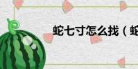 蛇七寸怎么找(蛇七寸)