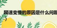 網速變慢的原因是什么問題(網速變慢的原因)