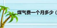 煤氣費一個月多少(煤氣費)