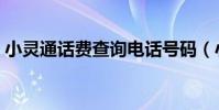 小靈通話費查詢電話號碼(小靈通話費查詢)