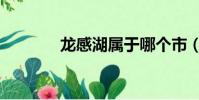 龍感湖屬于哪個市(龍感湖)