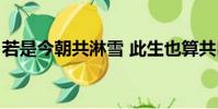 若是今朝共淋雪 此生也算共白頭全詩(若是)