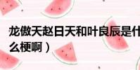 龍傲天趙日天和葉良辰是什么梗(趙日天是什么梗啊)