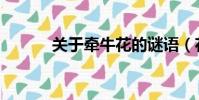 關于牽牛花的謎語(花的謎語)