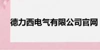 德力西電氣有限公司官網(德力西電器)