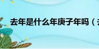 去年是什么年庚子年嗎(去年是什么年)
