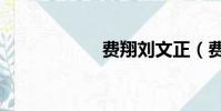 費翔劉文正(費翔)