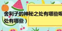 舍利子的神秘之處有哪些呢(舍利子的神秘之處有哪些)