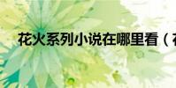 花火系列小說在哪里看(花火系列小說)