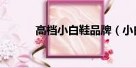 高檔小白鞋品牌(小白鞋品牌)