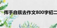 揮手自茲去作文800字初二(揮手自茲去)