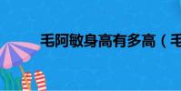 毛阿敏身高有多高(毛阿敏身高)