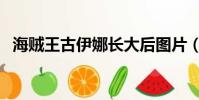 海賊王古伊娜長大后圖片(海賊王古伊娜)