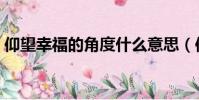 仰望幸福的角度什么意思(仰望幸福的角度)