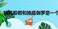 獨孤般若和獨孤伽羅是一個母親嗎(獨孤般若)