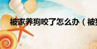 被家養狗咬了怎么辦(被狗咬了怎么辦)