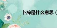 卜辭是什么意思(卜辭)