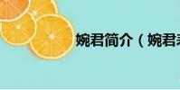 婉君簡介(婉君表妹)