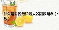 什么是公因數和最大公因數概念(什么是公因數和最大公因數)