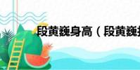 段黃巍身高(段黃巍打劉羽琦)