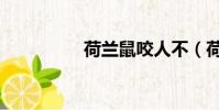 荷蘭鼠咬人不(荷蘭鼠)